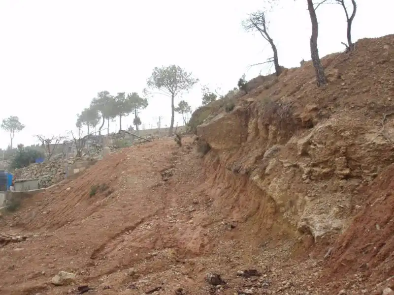 Residential land for sale in La Pobla de Claramunt, imagen 11