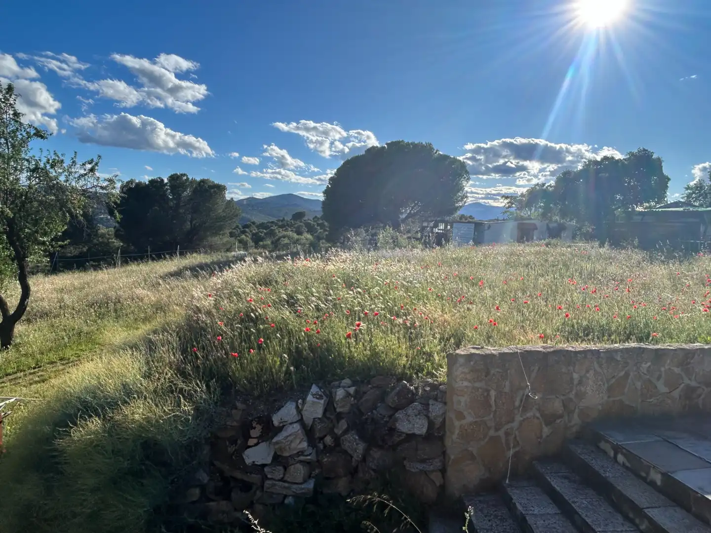 Finca rústica en venta en Navas del Rey con Calefacción, Jardín privado y Terraza