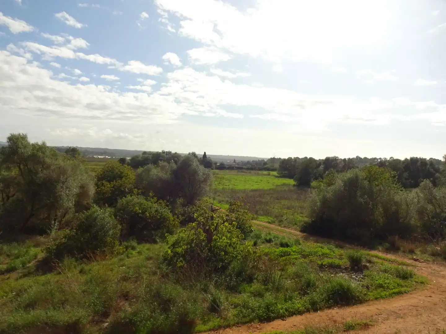 Finca rústica en venta en  Palma de Mallorca