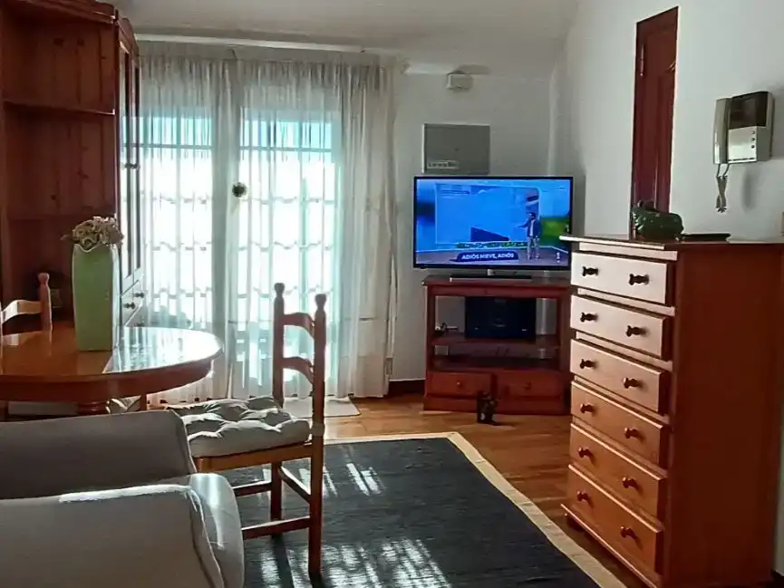 Sala d'estar de Pis de lloguer en Vigo  amb Parquet, Moblat i Forn