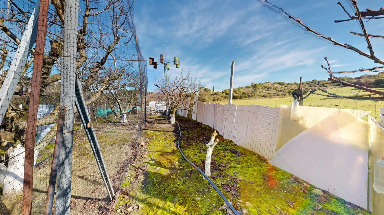 Rural land for sale in Tafalla - TERMINO JUNCAL, imagen 46