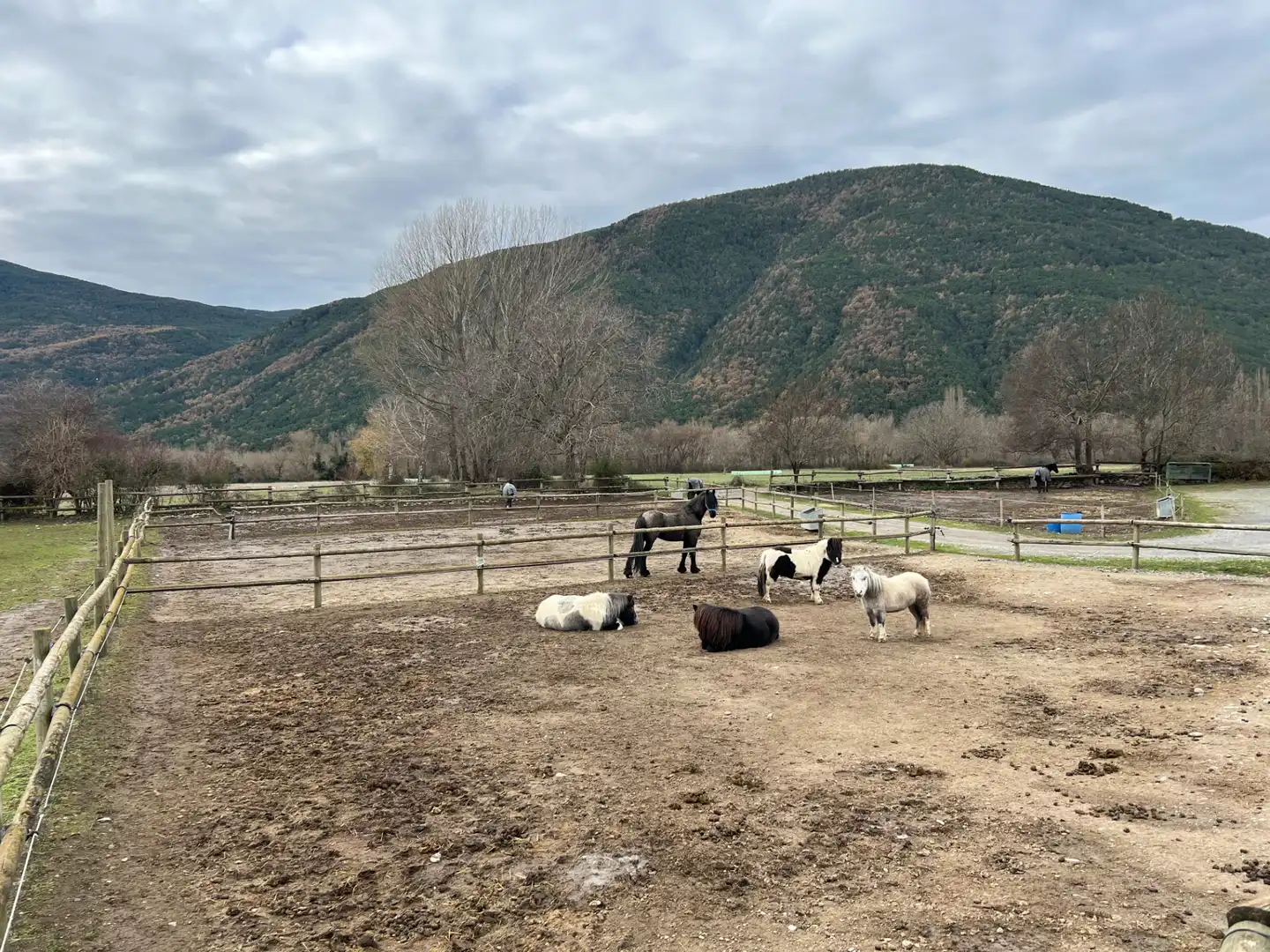 Terreni e lotti in vendita a Camino Oros Alto, imagen 42
