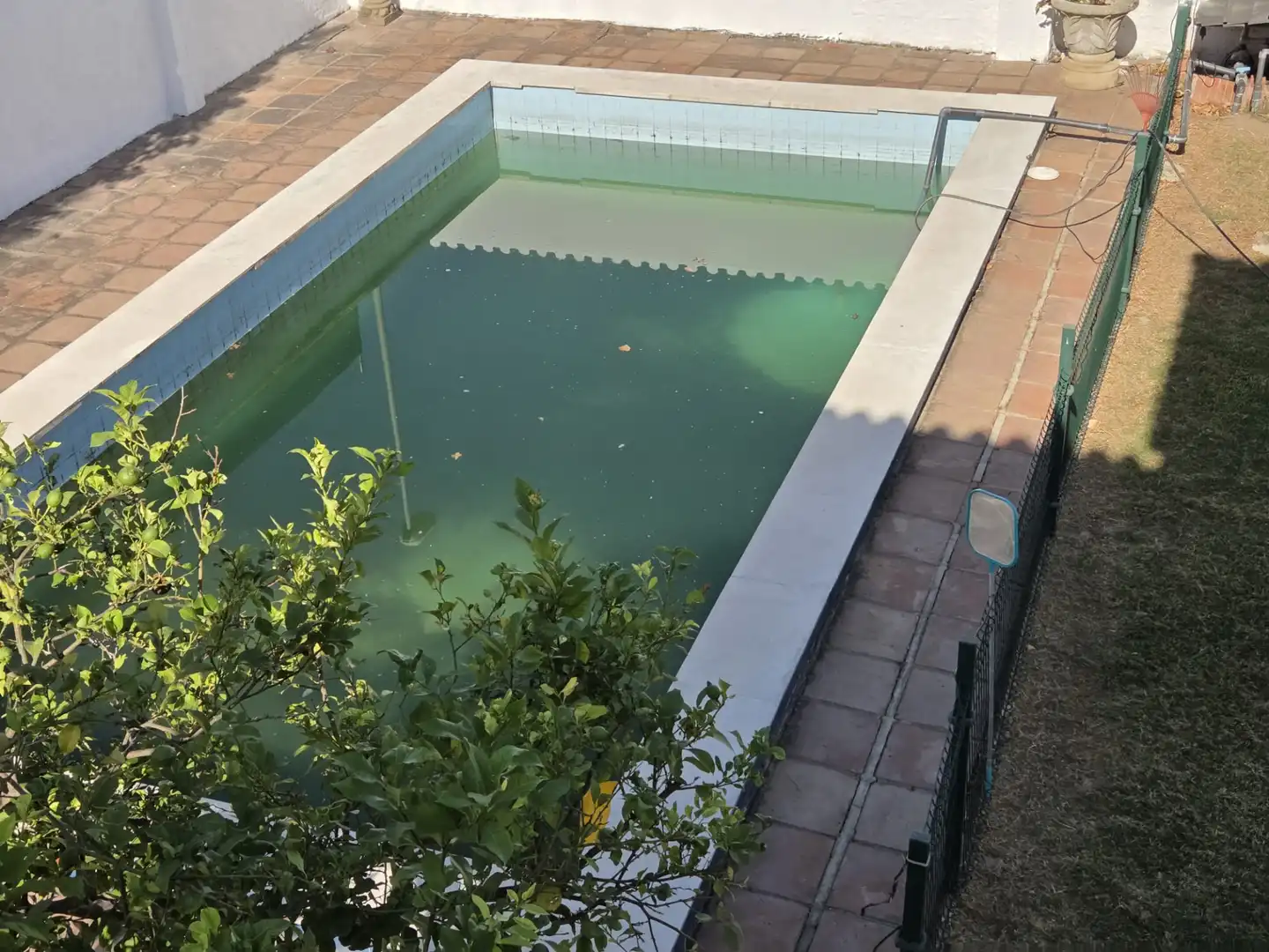 Swimming pool of Houses for sale in Algeciras  with Swimming Pool and Furnished