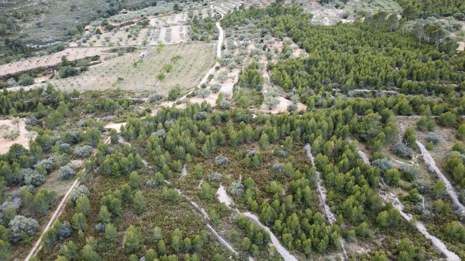 Grundstücke zum Verkauf in Canet lo Roig