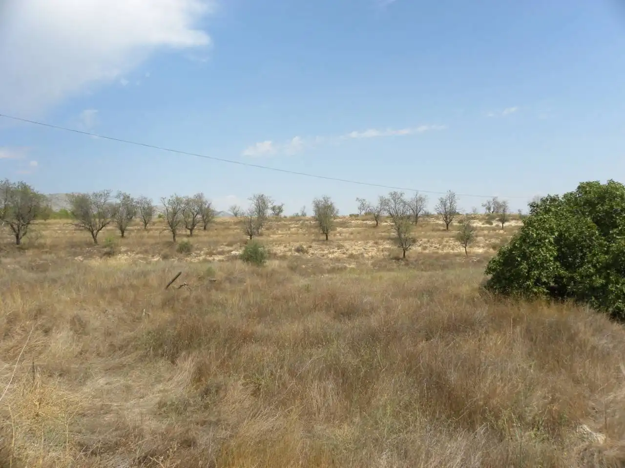 Residential land for sale in Caravaca de la Cruz, imagen 7