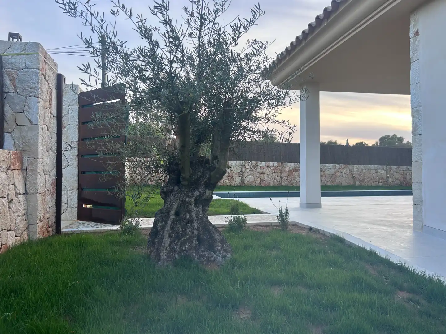 Xalet amb piscina en venda a Carrer des Pins de na Mossa, imagen 22