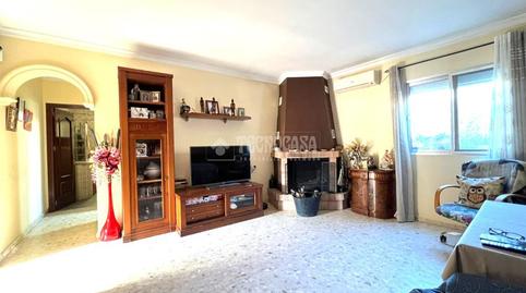 Foto 3 de Finca rústica en venda a Parque Atlántico - Ronda este, Cádiz