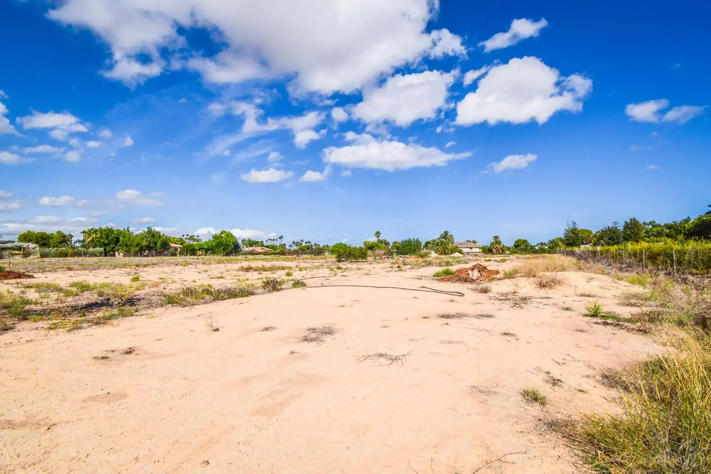 Terrain rustique à vendre à Elx - Santa Pola, imagen 2