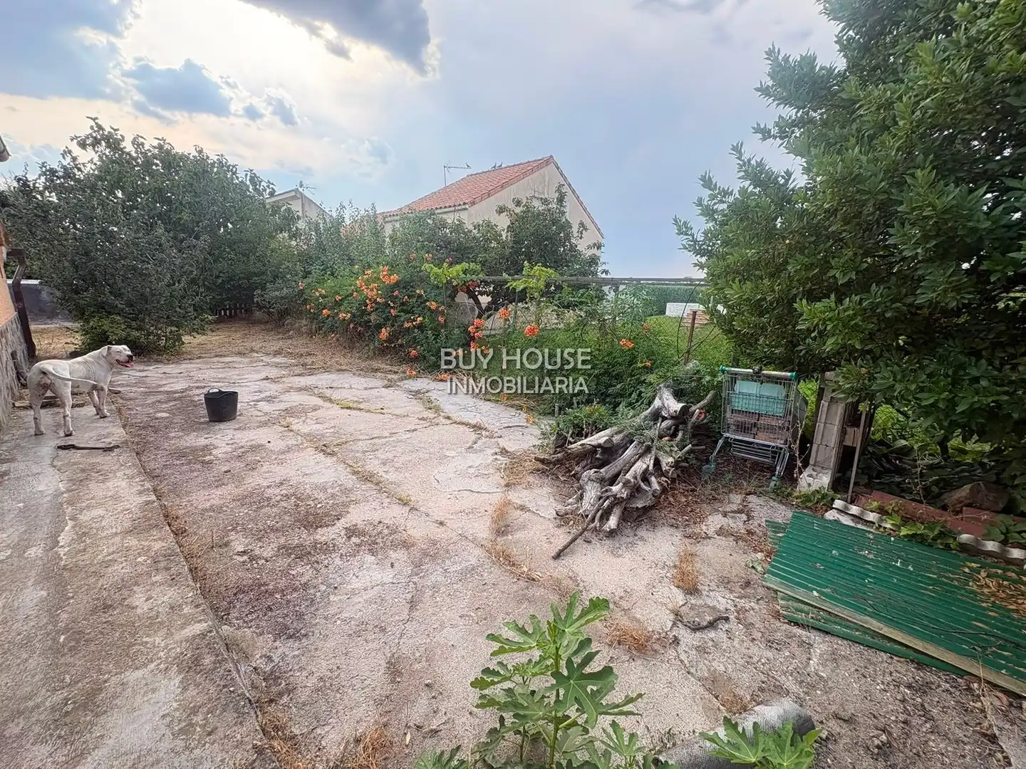 Chalet con piscina en venta en VICTORIA KENT, imagen 5