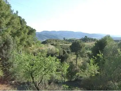 Lands and plots for sale in Lugar Can Segarra, imagen 14