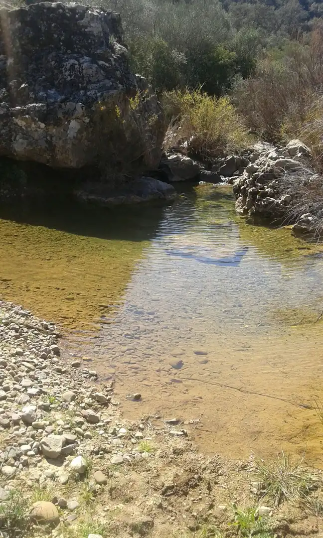 Piscina de Finca rústica de alquiler en Adamuz con Aire acondicionado, Jardín privado y Amueblado