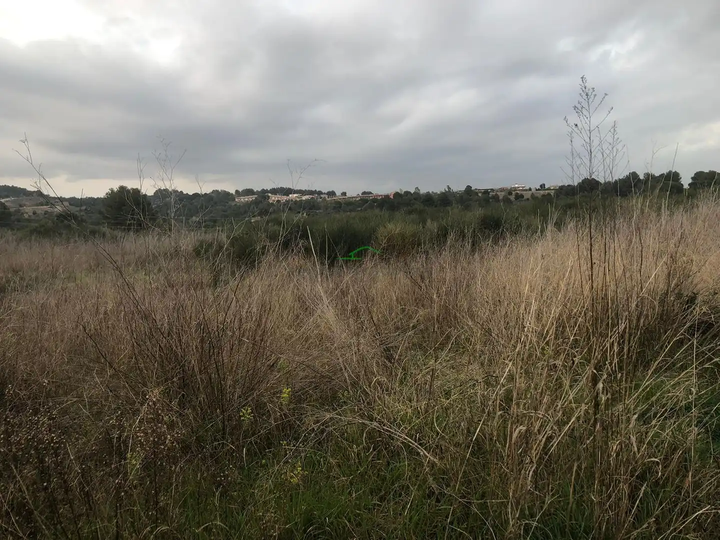 Terreno en venta en MONTSENY S/N, 1, Sant Esteve Sesrovires