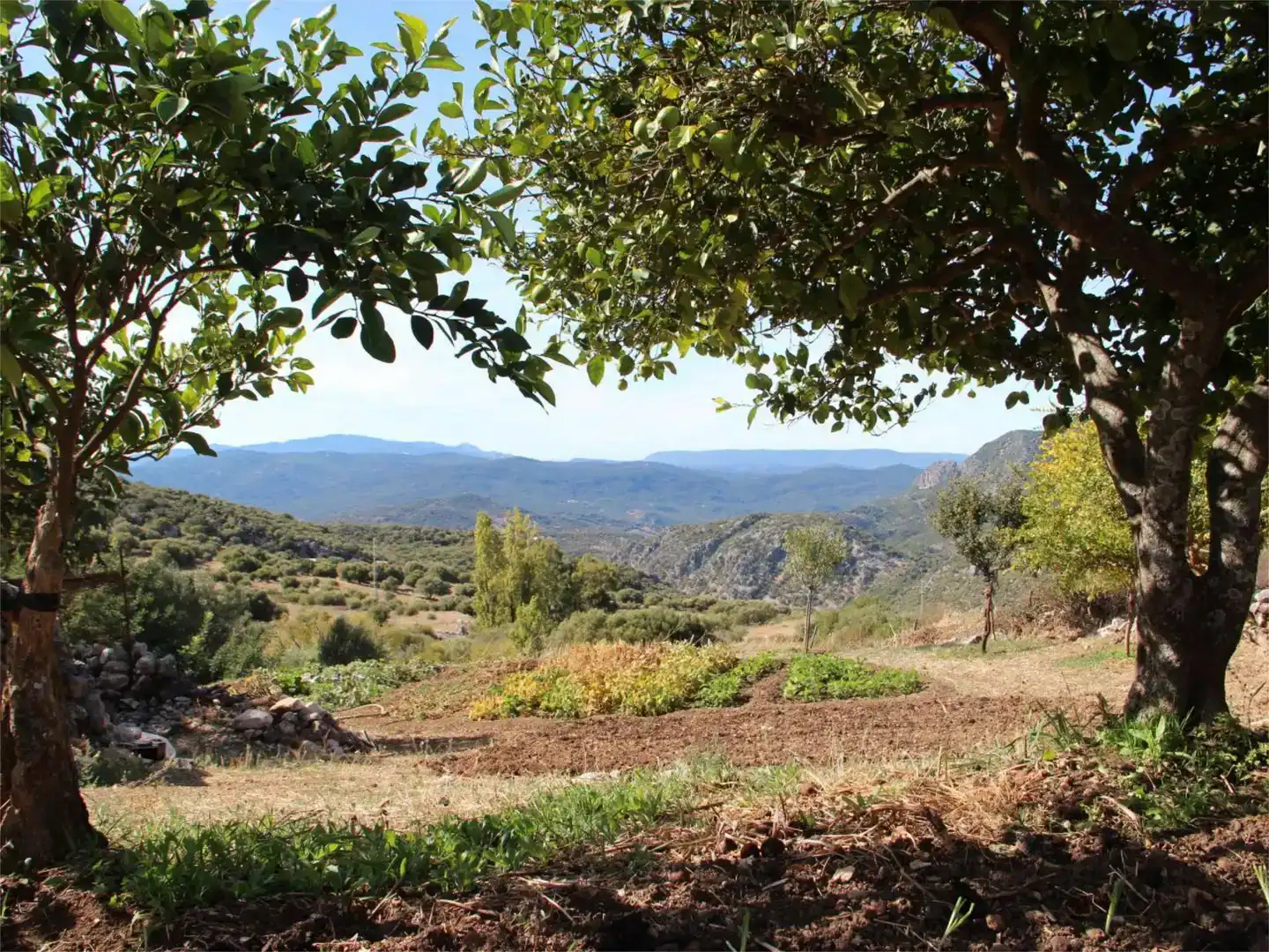 Jardín de Piso en venta en Benaocaz con Jardín privado, Trastero y Piscina
