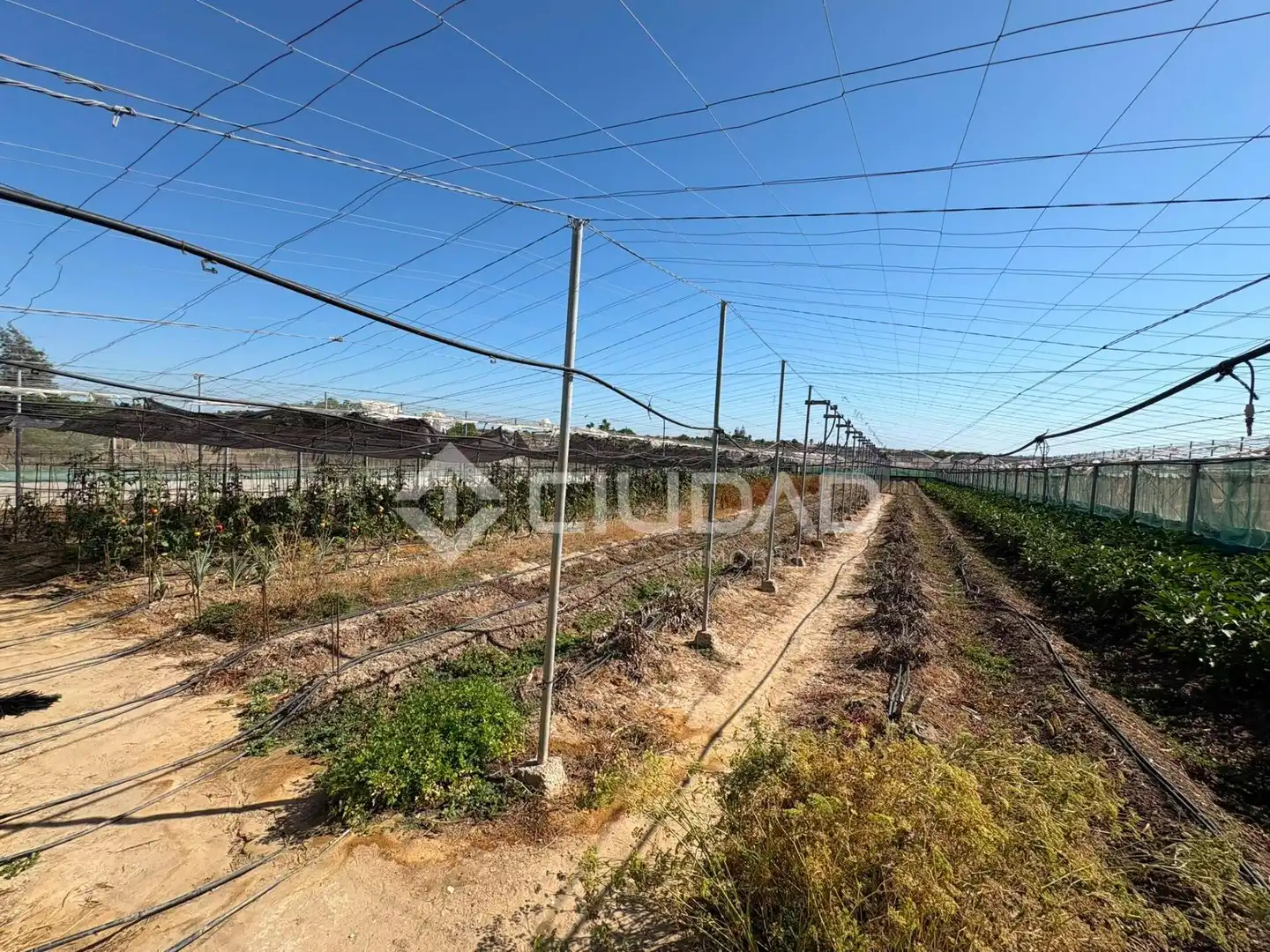 Terreno en venta en Sanlúcar de Barrameda
