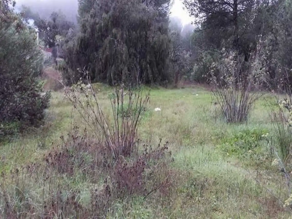 Lands and plots for sale in Periurbano Oeste - Sierra, imagen 2