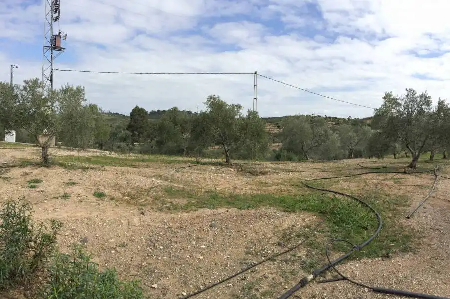 Casa rústica en venda a Valverde del Camino, imagen 5