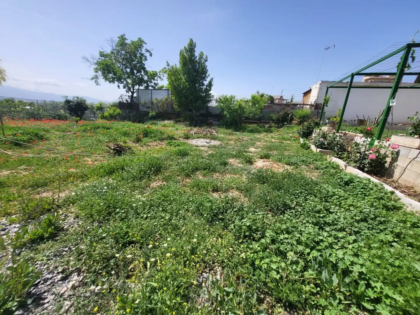 Terrenos y solares en venta en El Torreón - Cortijo Pretel, imagen 11