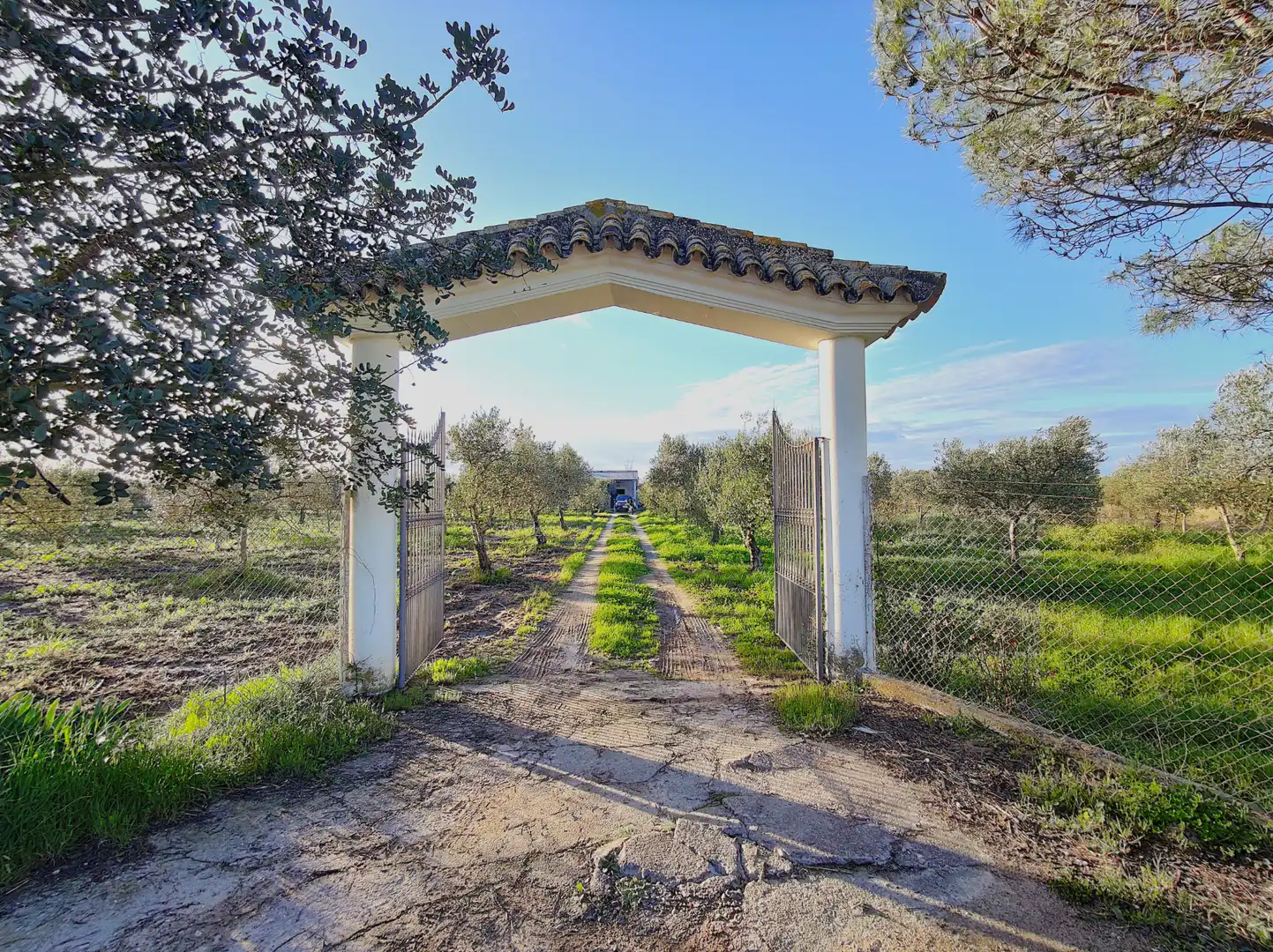 Lands and plots for sale in Lebrija