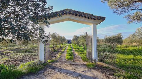 Finca Rústica en zona Las Arenas