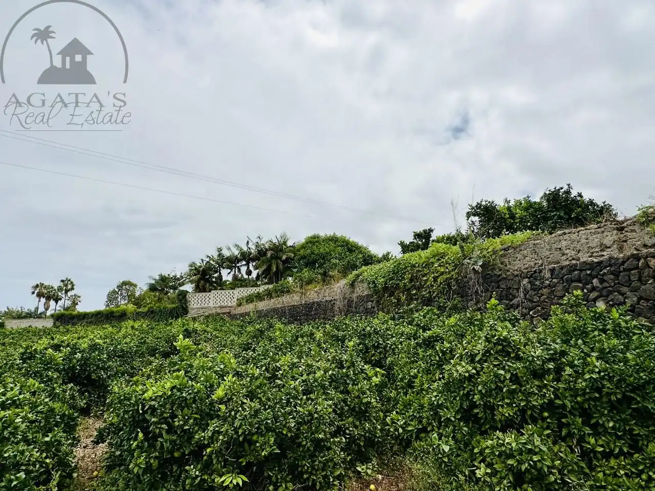 Finca rústica en venta en La Orotava con Jardín privado y Terraza