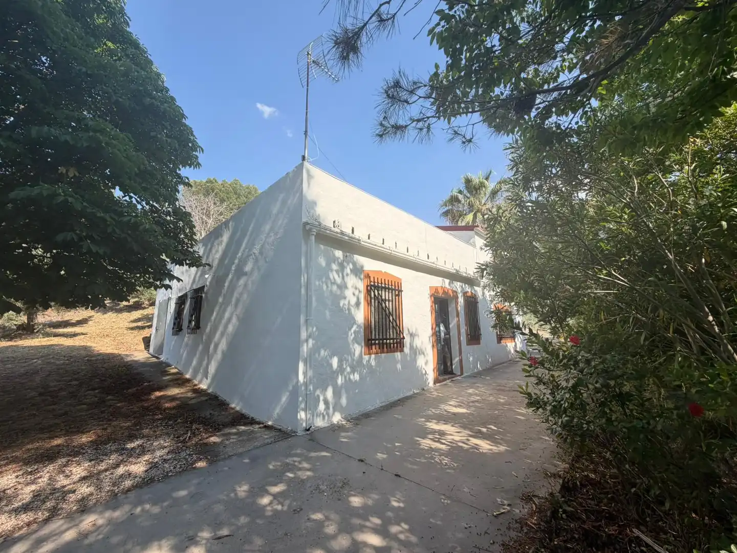 Vista exterior de Finca rústica en venta en Los Villares con Terraza, Trastero y Piscina