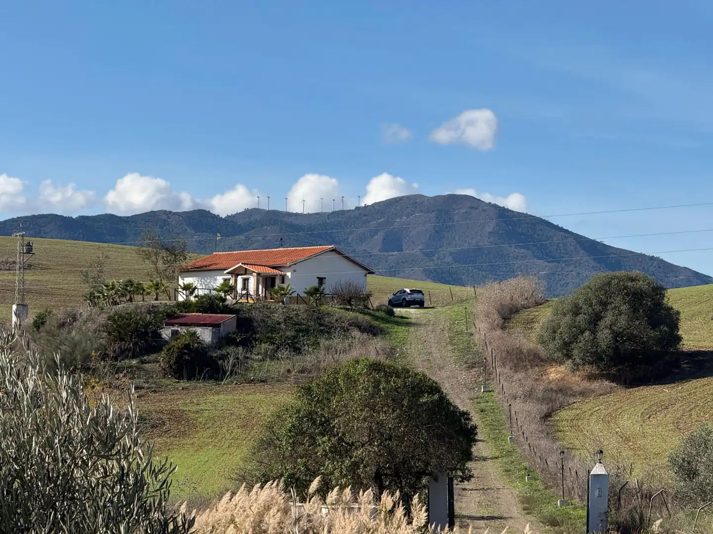 Vista exterior de Casa o chalet en venta en Málaga con Calefacción, Jardín privado y Amueblado