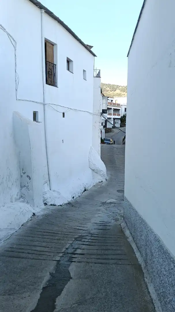 Vista exterior de Finca rústica en venta en Bérchules, Granada