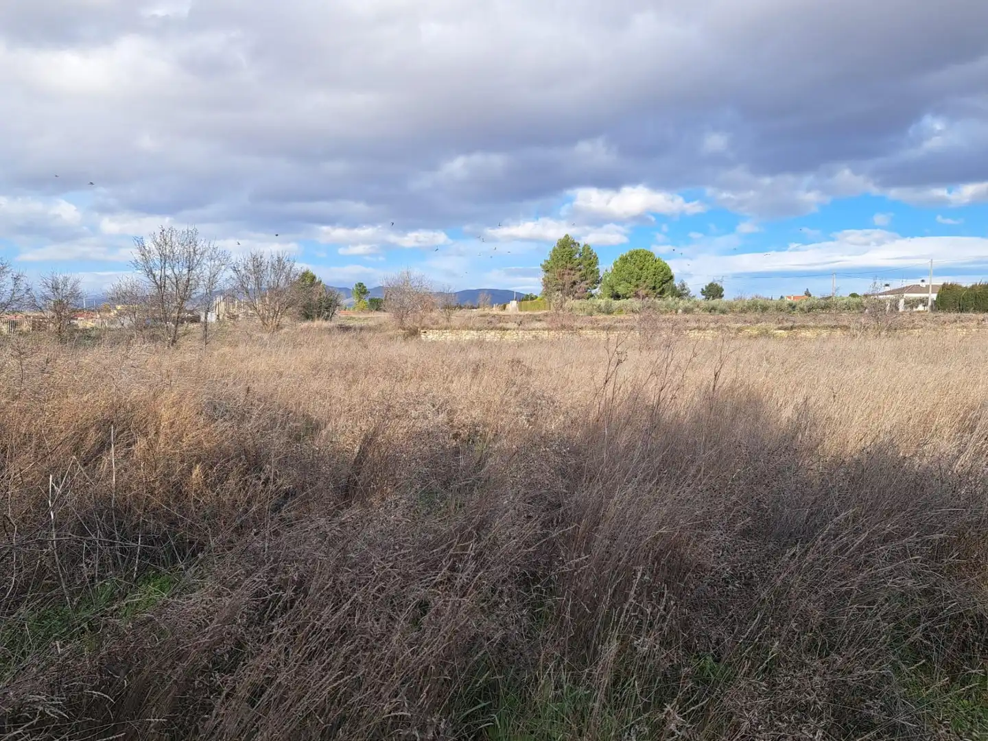 Rural land for sale in Diseminados, imagen 9