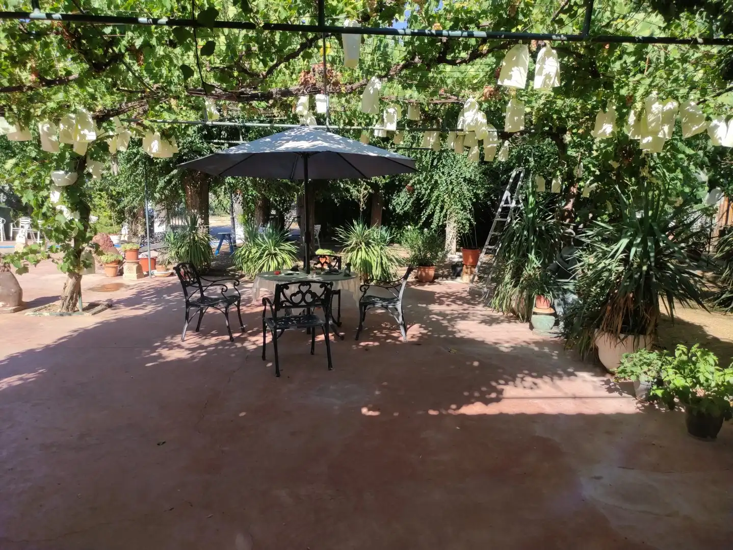 Xalet amb piscina en venda a Miguelturra, imagen 3