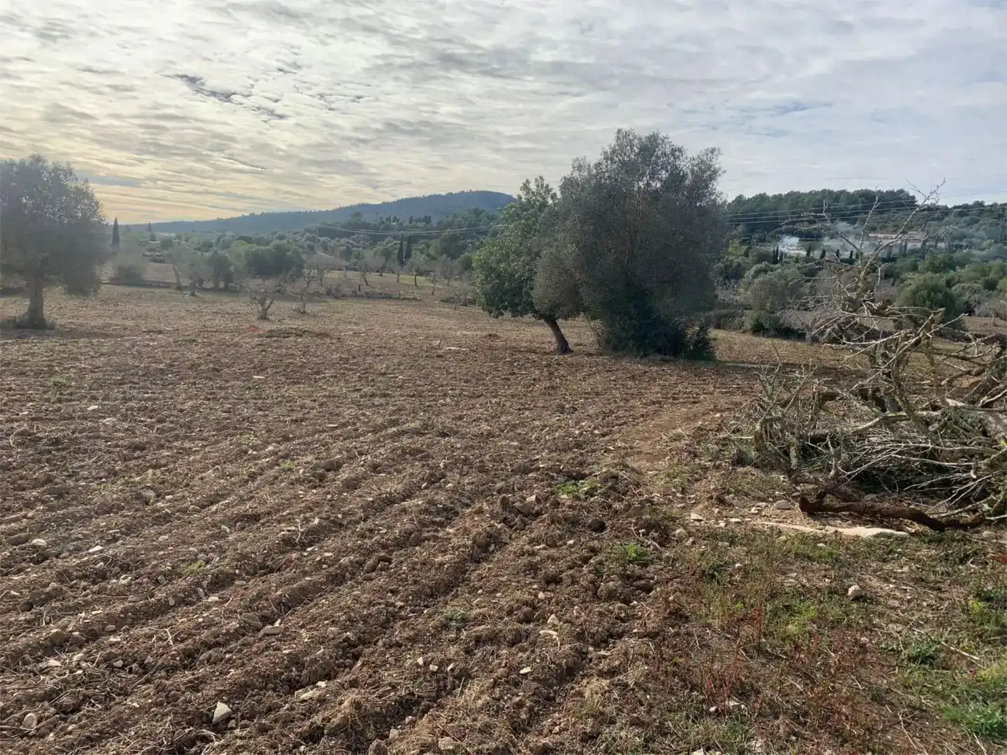 Residencial en venda en Son Servera