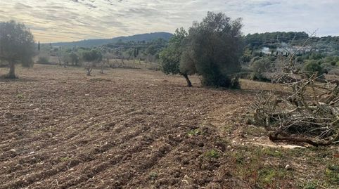 Photo 3 of Residential for sale in Zona d'Interior, Son Servera
