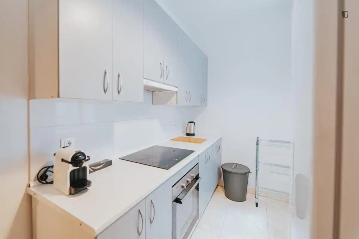 Kitchen of Apartments for share in Madrid  with Furnished, Oven and Washing machine