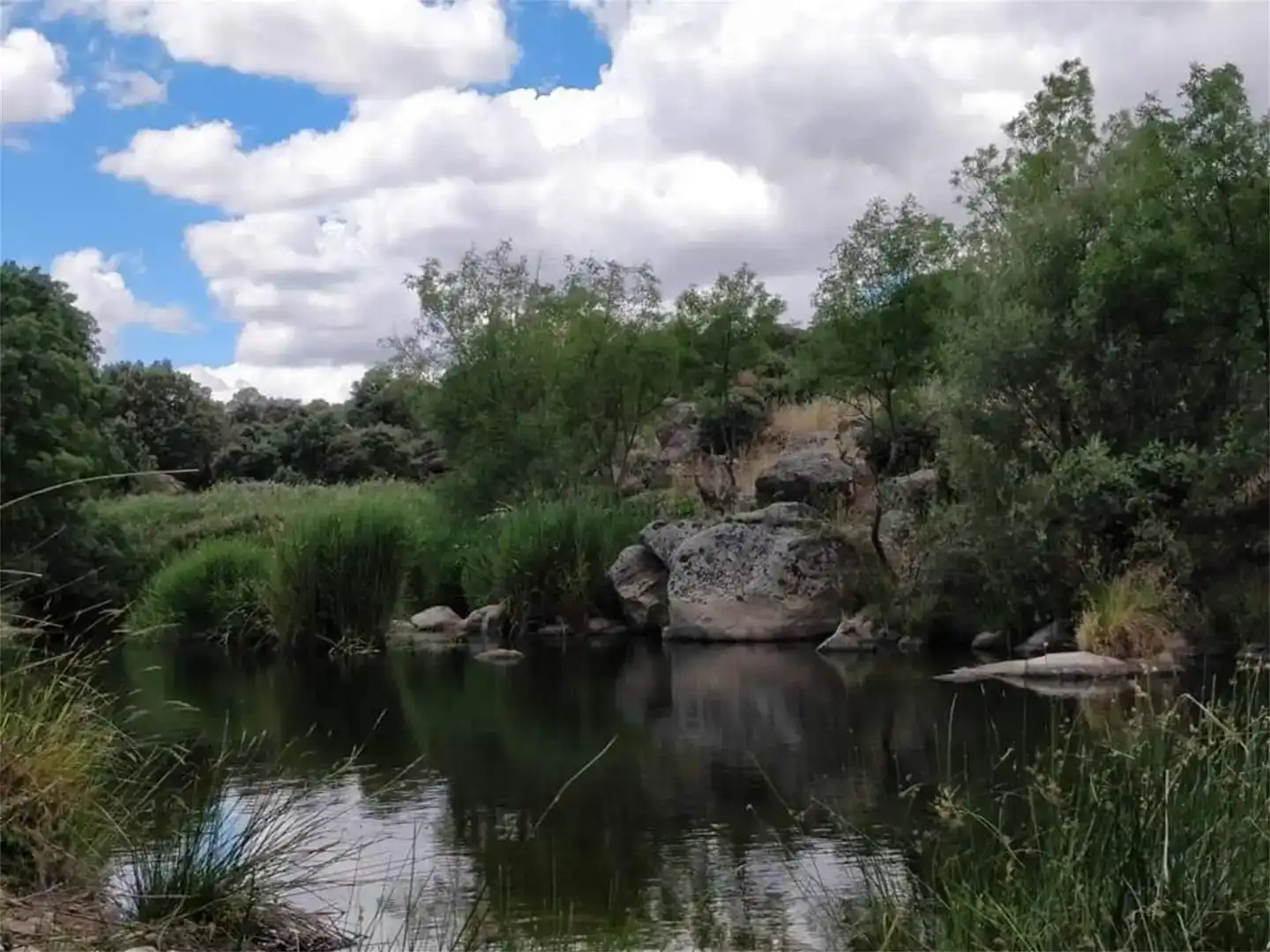 Casa o chalet en venta en Santa Ana de Pusa con Jardín privado, Trastero y Piscina