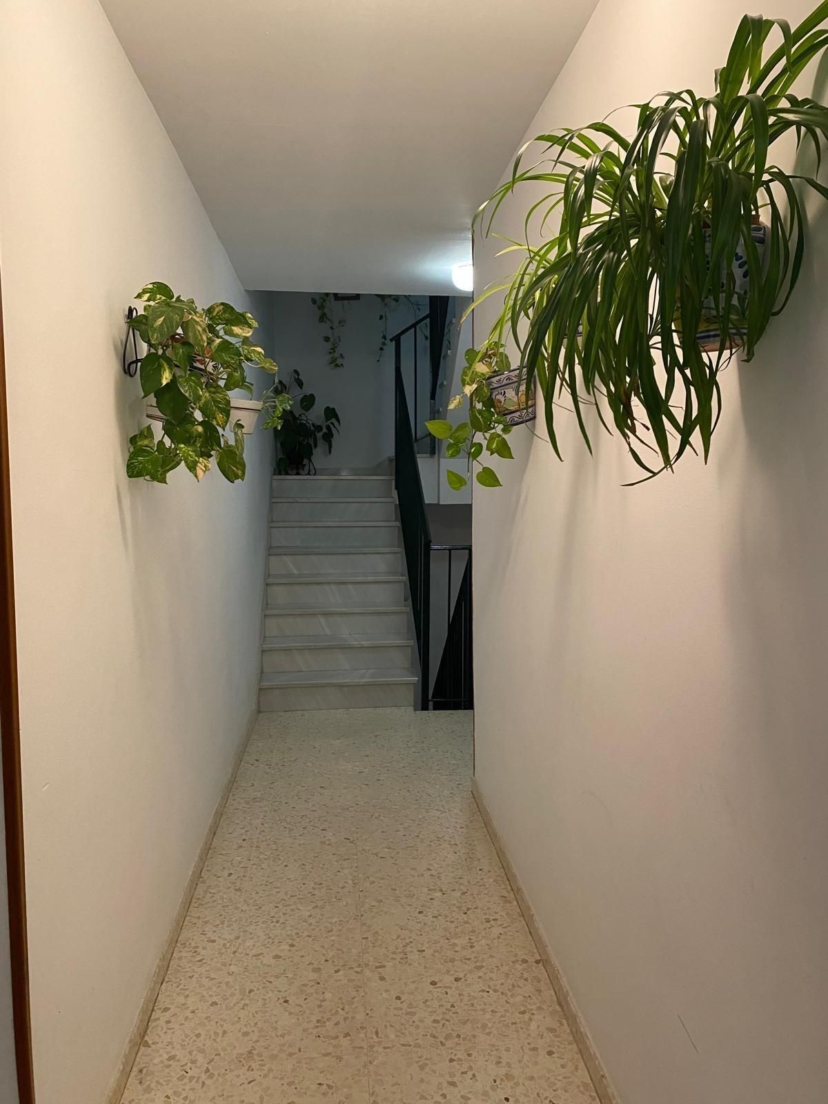 Flat for sale in Marchena  with Terrace and Balcony