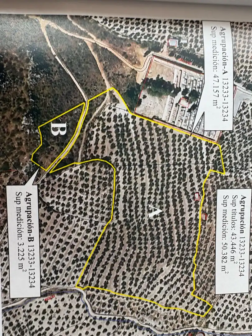 Terreno rustico in vendita a Calle Doctor Carriazo 21, imagen 3