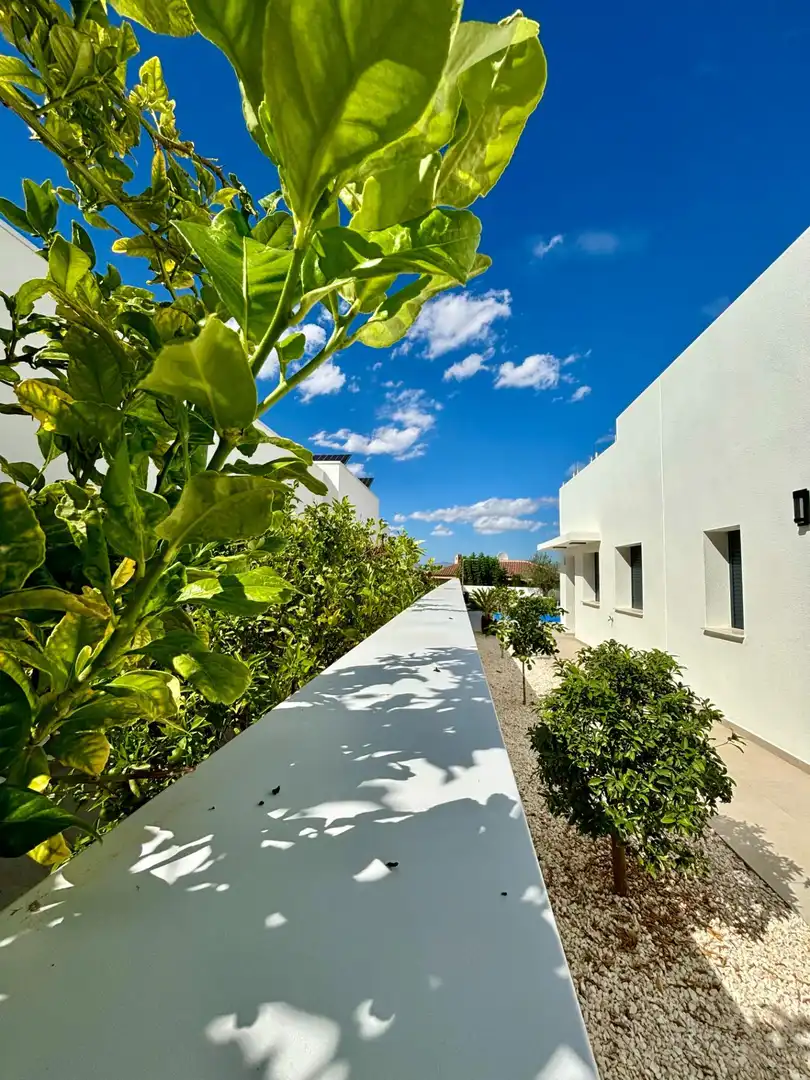 Terrassa de Casa o xalet en venda en Rojales amb Jardí privat i Piscina