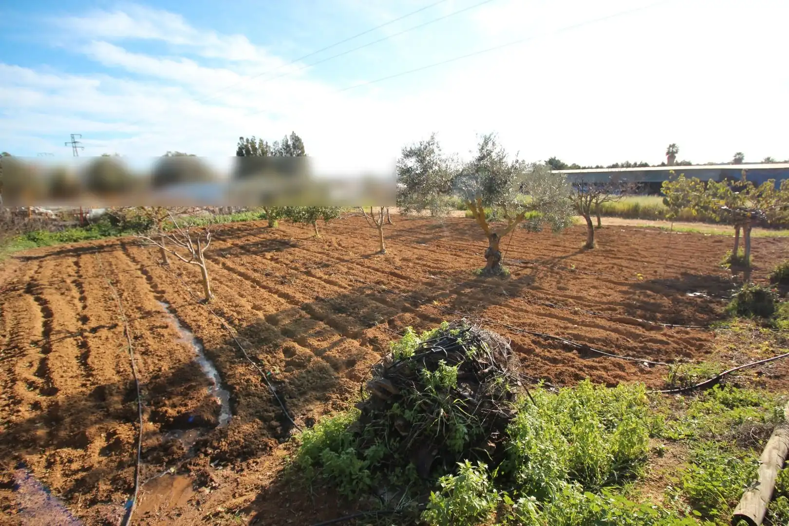 Terrenos y solares en venta en Núcleo urbano, imagen 9