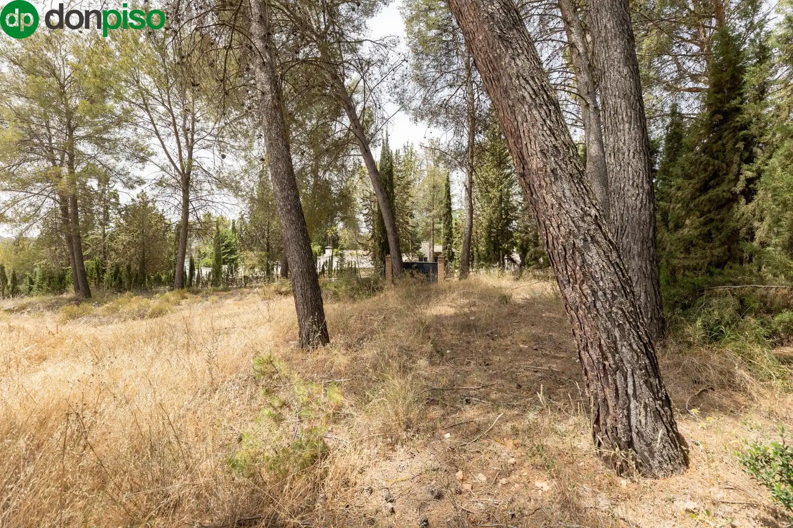 Terrenos y solares en venta en Calle de los Poetas Populares 1, imagen 11