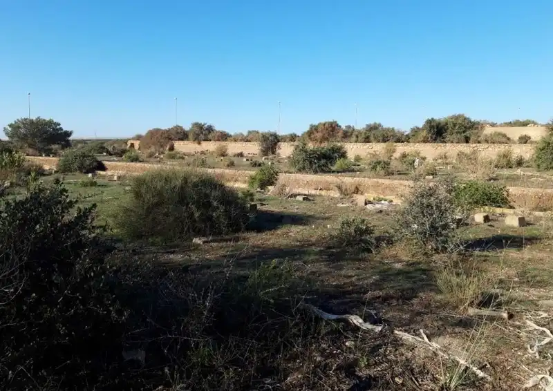 Terrenos y solares en venta en PRE. LOMA DE LA MEZQUITA-SUS-66-ES, imagen 13