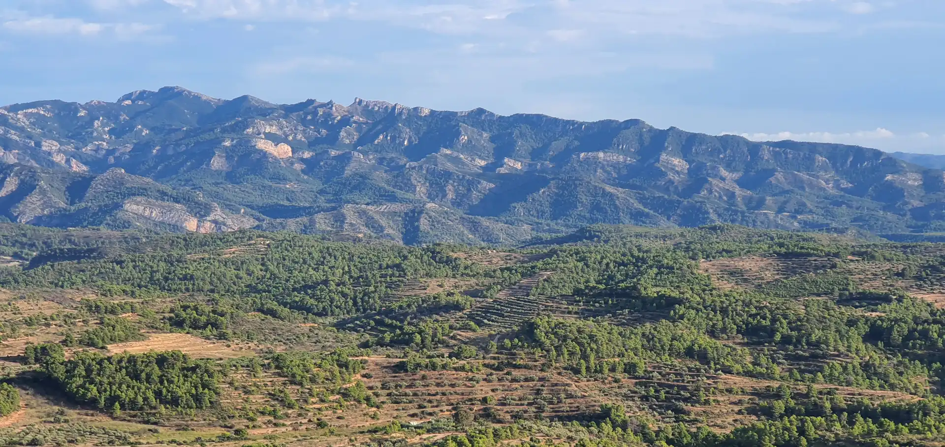 Wohnbaugrundstück zum Verkauf in El Pinell de Brai, imagen 20