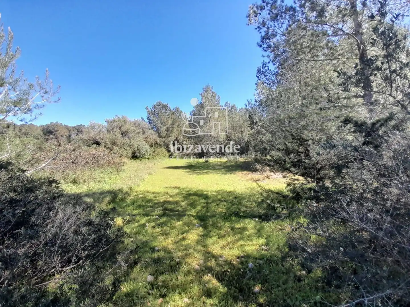 Terreny rústic en venda a es Pujolet, imagen 11