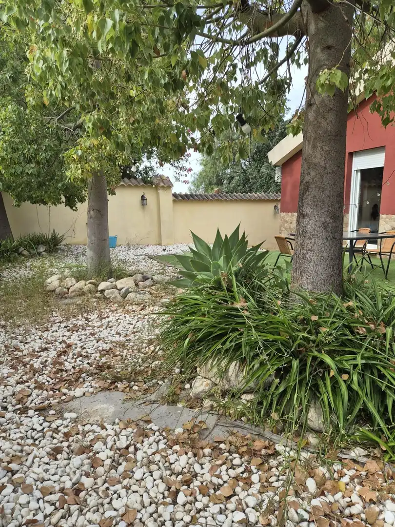 Jardí de Casa o xalet en venda en Alguazas amb Aire condicionat, Jardí privat i Moblat