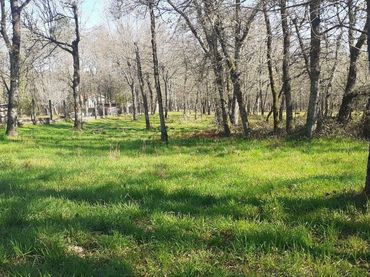 Residential land for sale in Paderne de Allariz