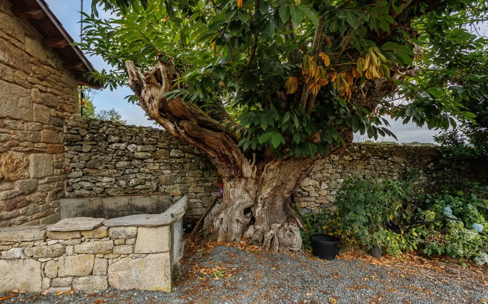 Jardí de Finca rústica en venda en Chantada amb Aire condicionat, Calefacció i Jardí privat