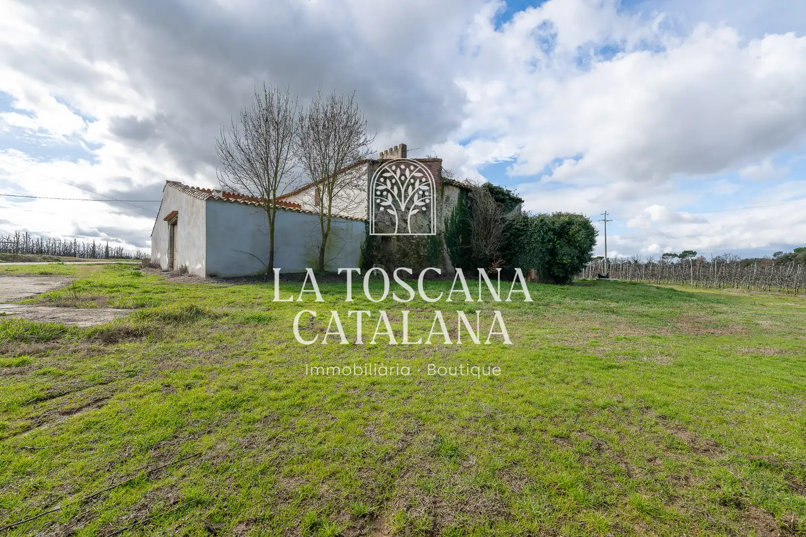 Finca rústica en venta en Campllong