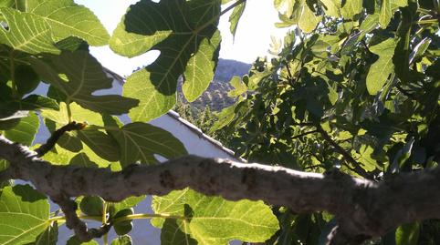 Photo 4 of Country house for sale in Extrarradio Diseminados, 67, Villacarrillo, Jaén