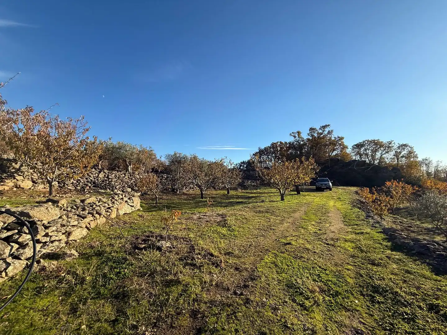 Land for sale in Arroyomolinos de la Vera