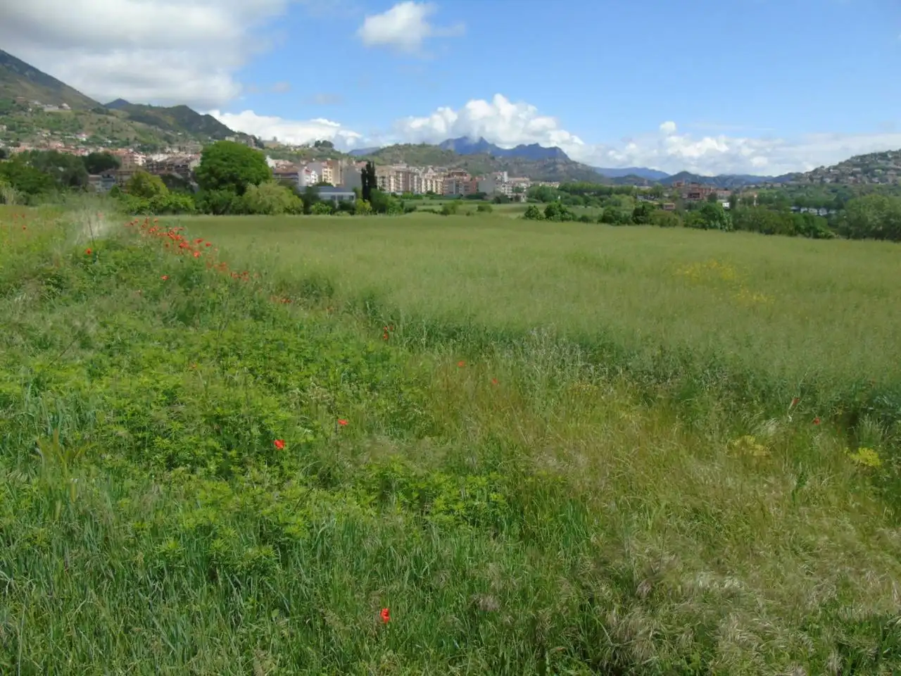 Terreno rustico in vendita a Berga, imagen 3