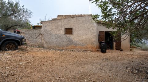 Photo 4 of Land for sale in Vial Camino, 29, Camarles, Tarragona