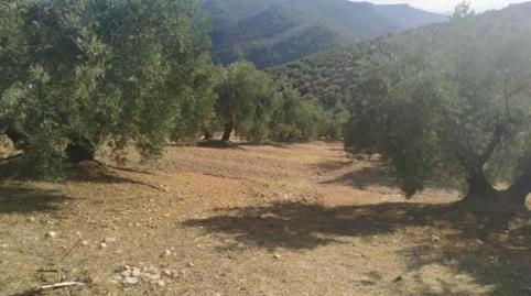 Foto 4 de Residencial en venda a Paraje la Jorquera, 11503, Villanueva del Arzobispo, Jaén